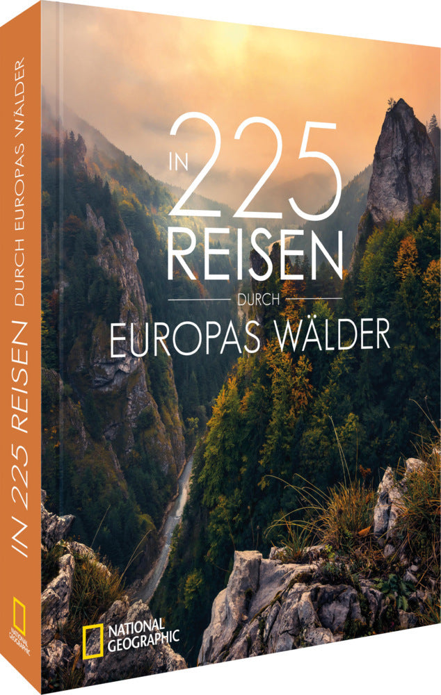 In 225 Reisen durch Europas Wälder (Jörg Berghoff)