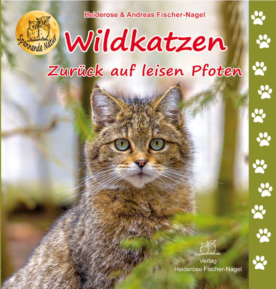 Wildkatzen (Heiderose Fischer-Nagel)