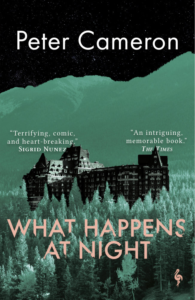 What Happens at Night (Peter Cameron)