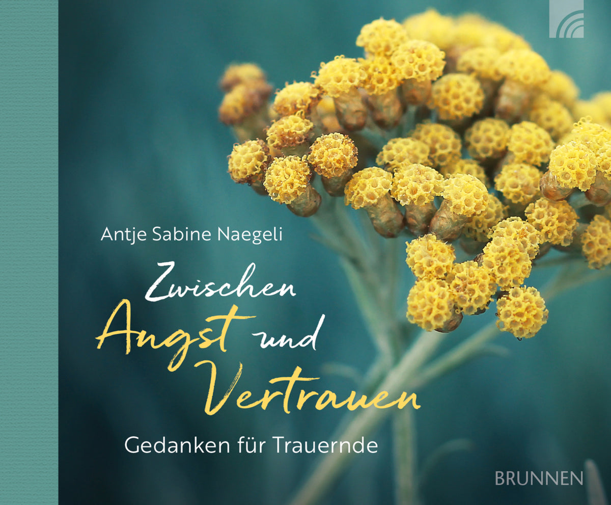 Zwischen Angst und Vertrauen (Antje Sabine Naegeli)