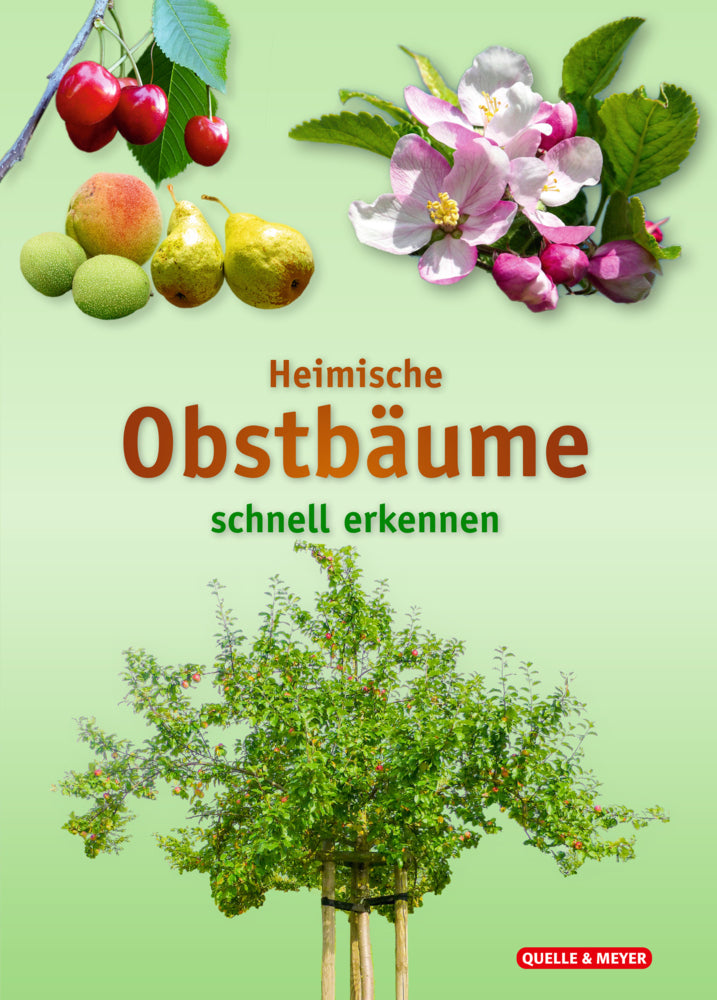 Heimische Obstbäume (Quelle & Meyer Verlag)