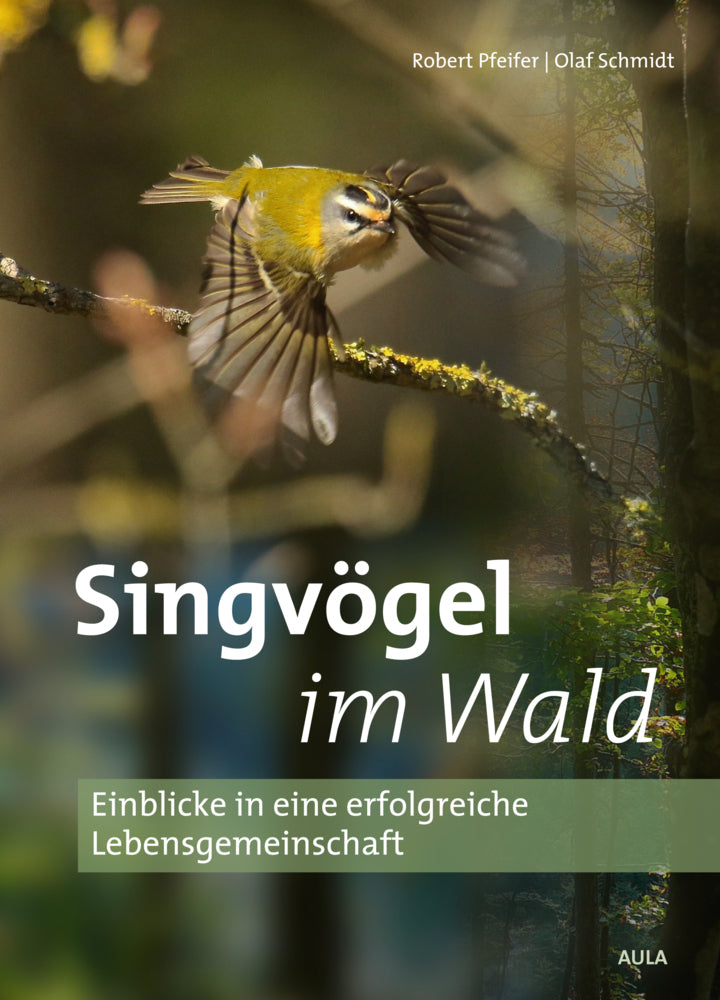 Singvögel im Wald (Robert Pfeifer)