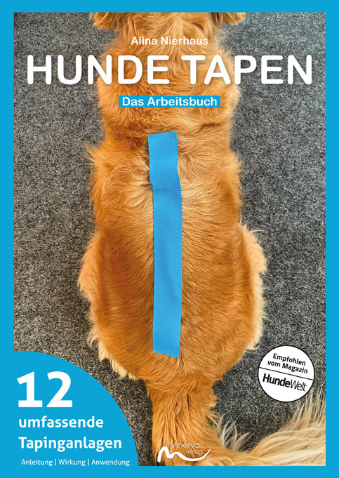 Hunde tapen (Alina Nierhaus)