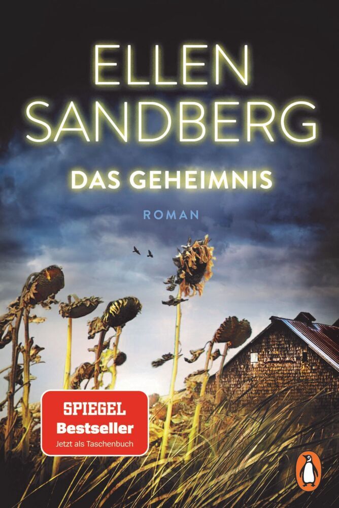 Das Geheimnis (Ellen Sandberg)