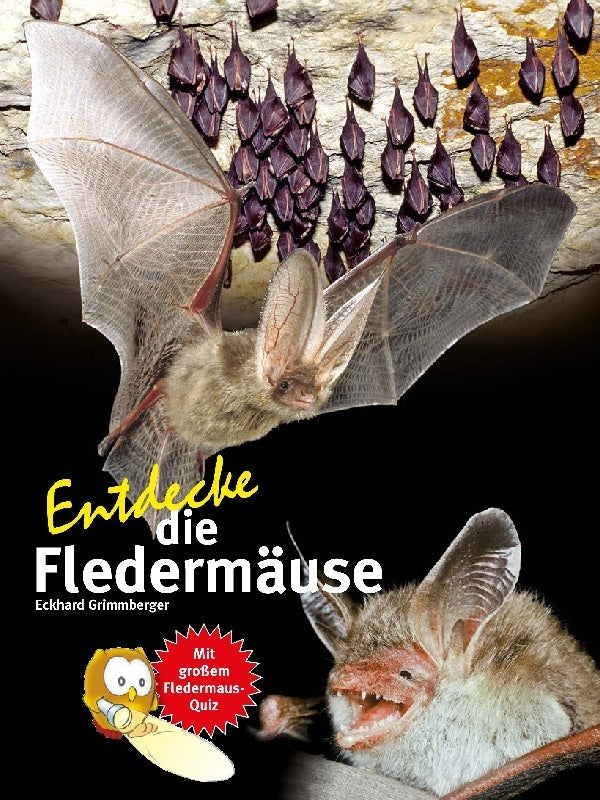 Entdecke die Fledermäuse (Eckhard Grimmberger)