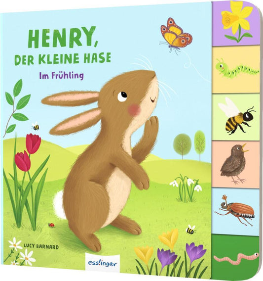 Mein erstes Jahreszeitenbuch: Henry, der kleine Hase (Anja Kiel)