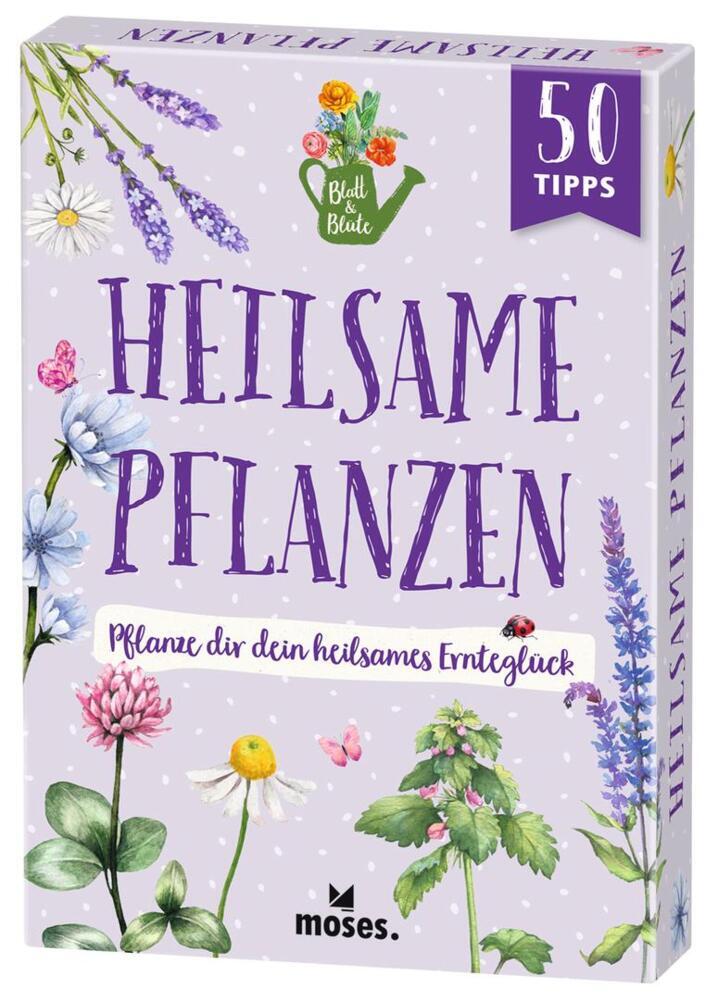 Blatt & Blüte Heilsame Pflanzen (Bärbel Oftring)