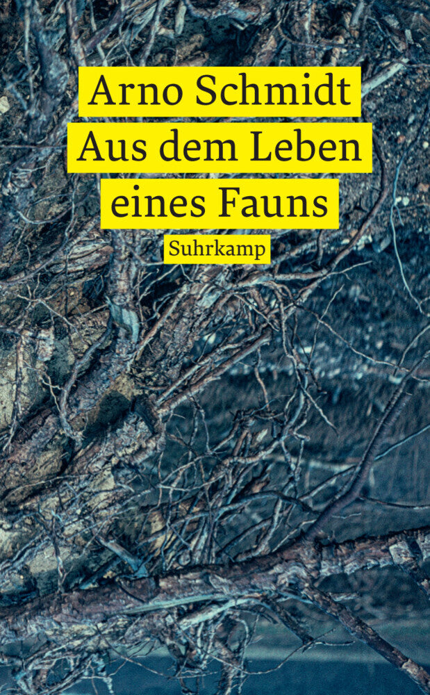 Aus dem Leben eines Fauns (Arno Schmidt)