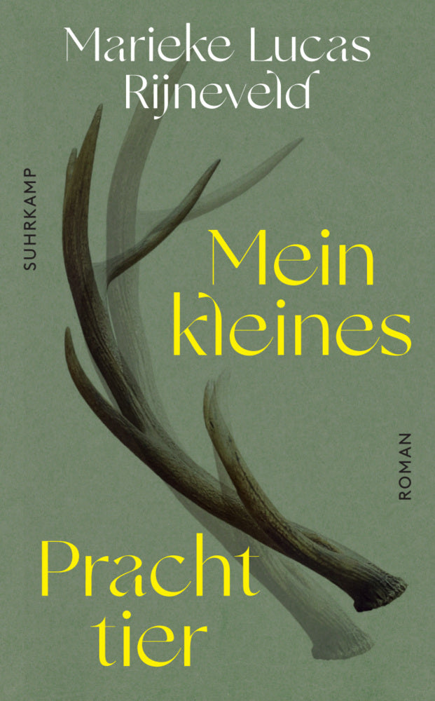 Mein kleines Prachttier (Lucas Rijneveld)