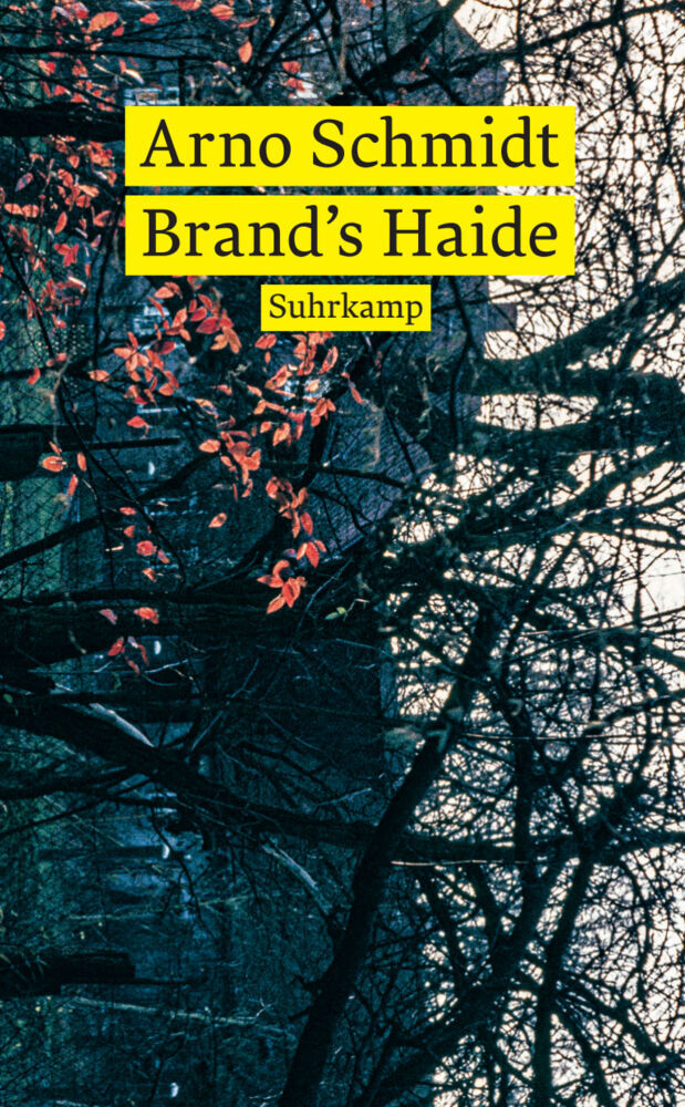 Brand's Haide (Arno Schmidt)