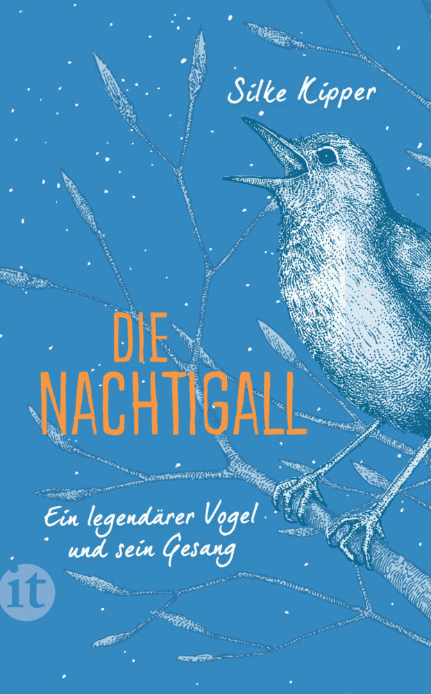 Die Nachtigall (Silke Kipper)