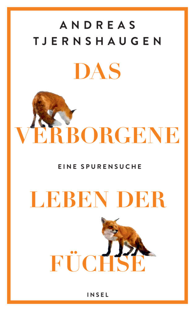 Das verborgene Leben der Füchse (Andreas Tjernshaugen)