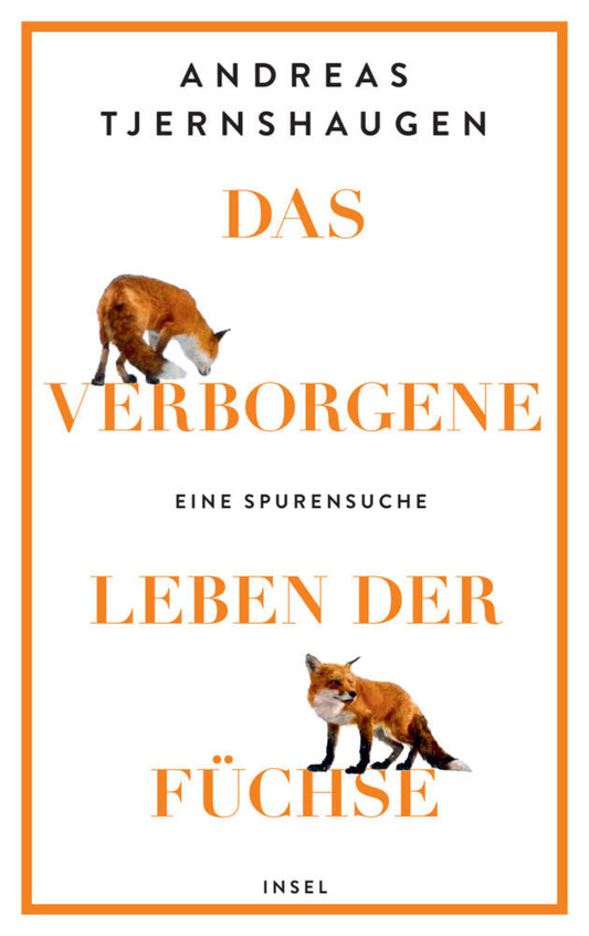 Das verborgene Leben der Füchse (Andreas Tjernshaugen)