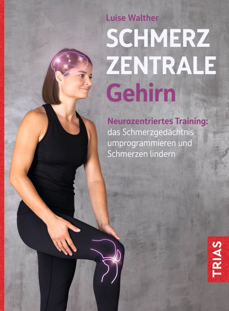 Schmerzzentrale Gehirn (Luise Walther)