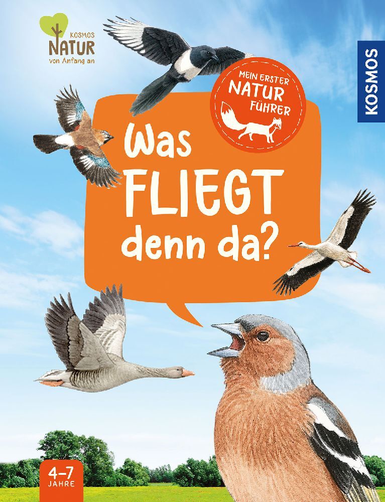 Mein erster Naturführer, Was fliegt denn da? (Lea Hille)