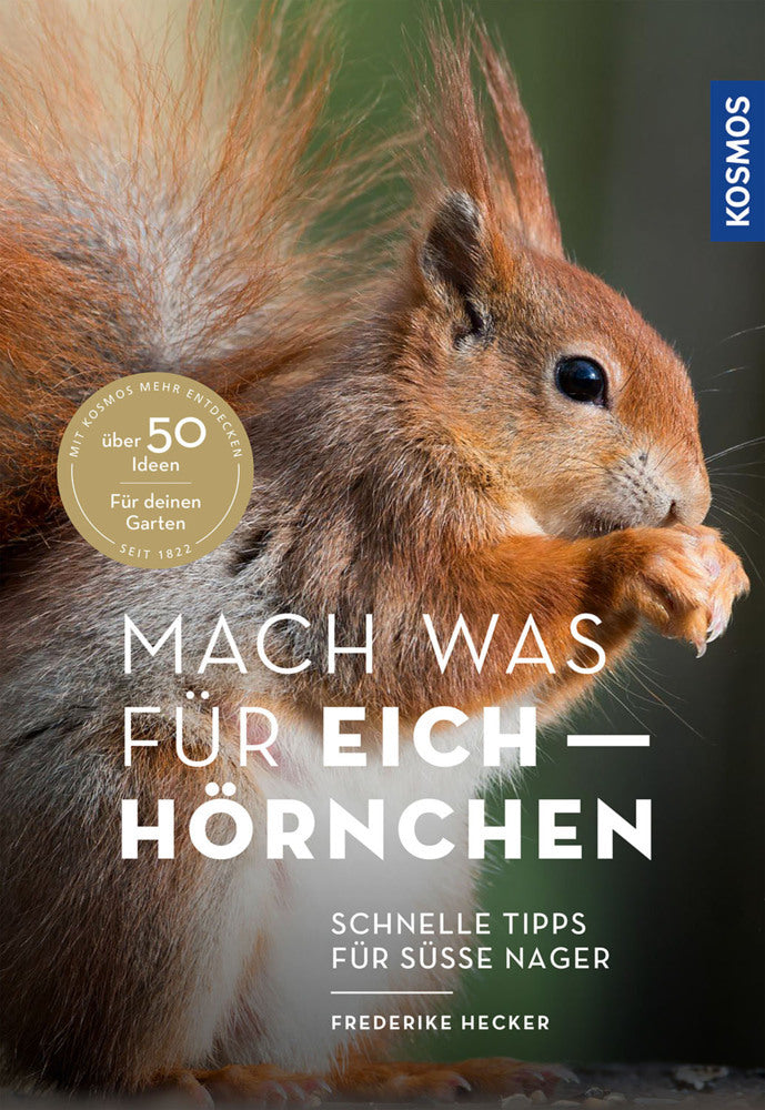 Mach was für Eichhörnchen (Frederike Hecker)