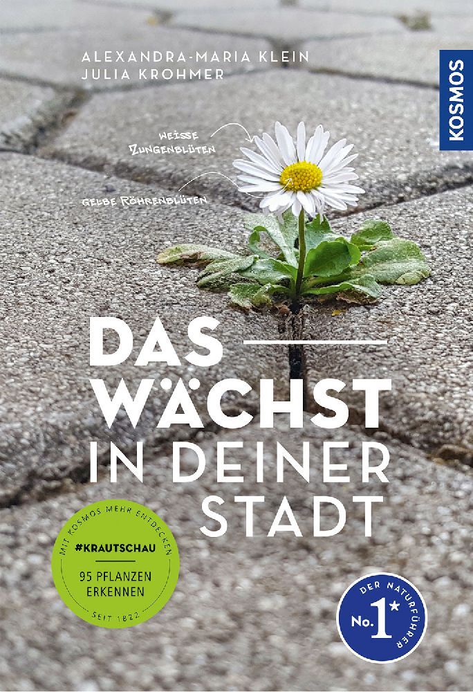 Das wächst in deiner Stadt (Alexandra-Maria Klein)