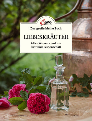Das große kleine Buch: Liebeskräuter (Tanja Mittendorfer-Lichtenegger)
