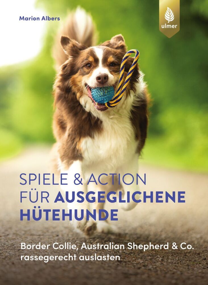 Spiele und Action für ausgeglichene Hütehunde (Marion Albers)
