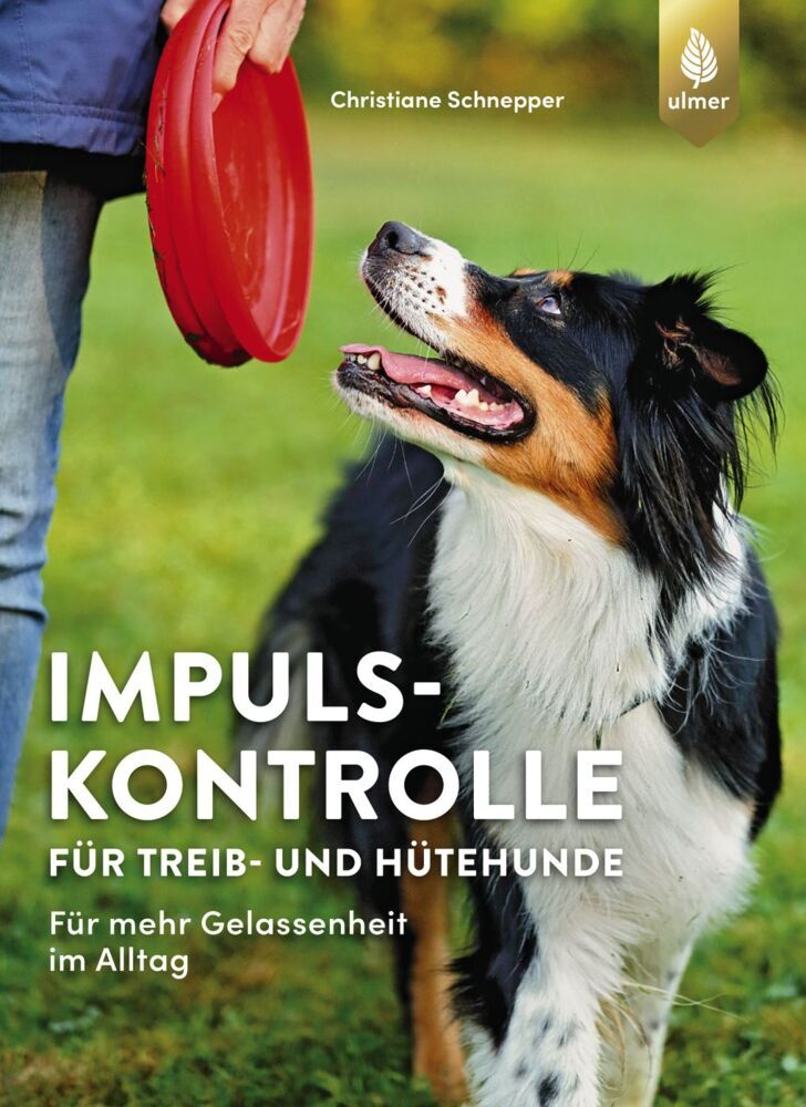 Impulskontrolle für Treib- und Hütehunde (Christiane Schnepper)