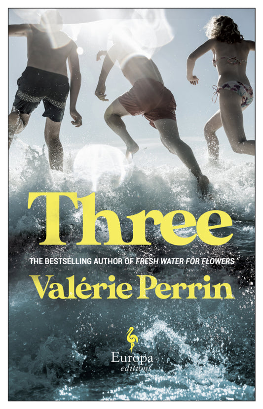 Three (Valérie Perrin)