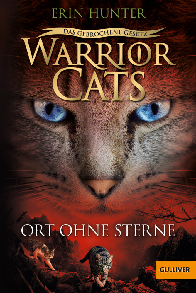 Warrior Cats - Das gebrochene Gesetz. Ort ohne Sterne (Erin Hunter)
