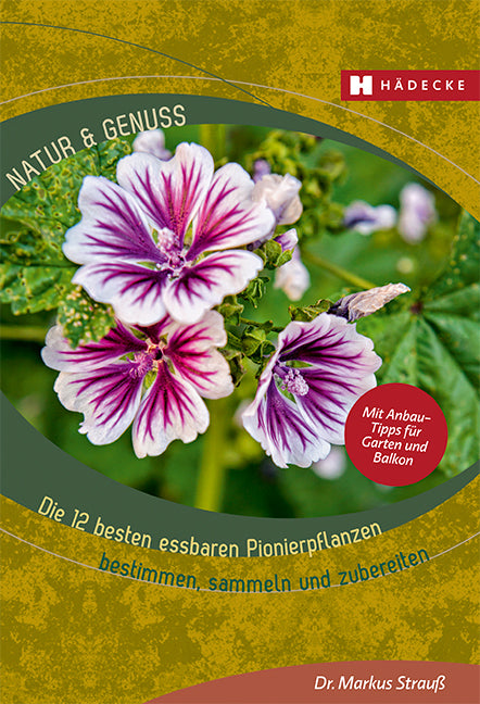 Die 12 besten essbaren Pionierpflanzen (Markus Strauß)