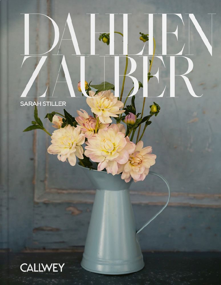 Dahlienzauber (Sarah Stiller)