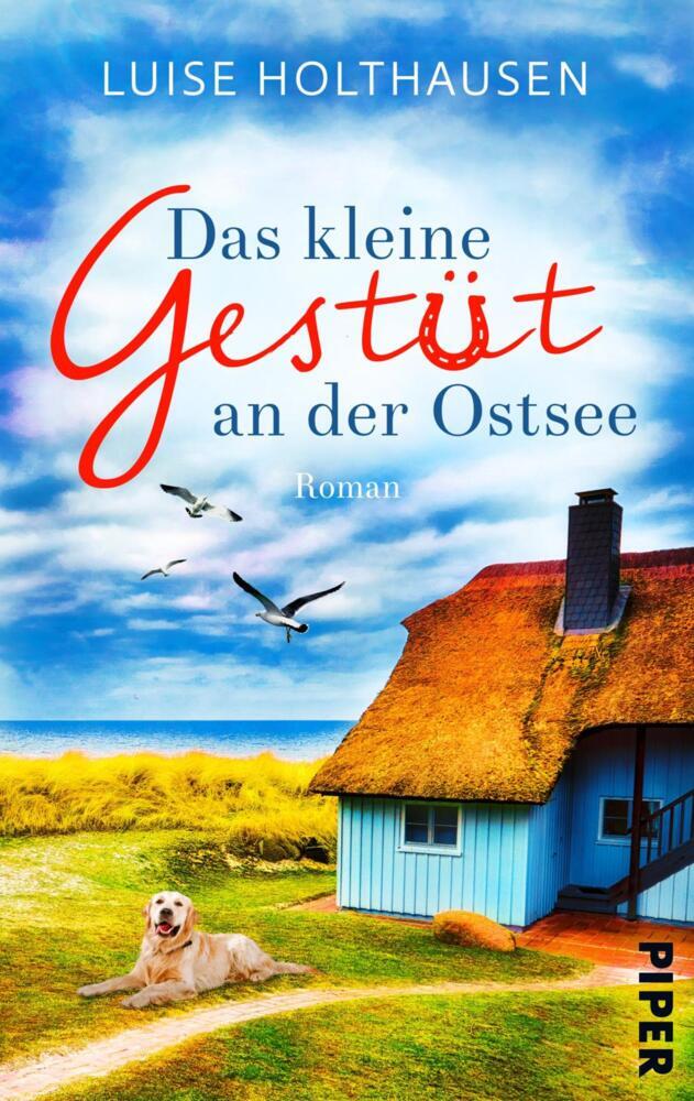 Das kleine Gestüt an der Ostsee (Luise Holthausen)