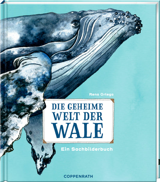 Die geheime Welt der Wale (Rena Ortega)