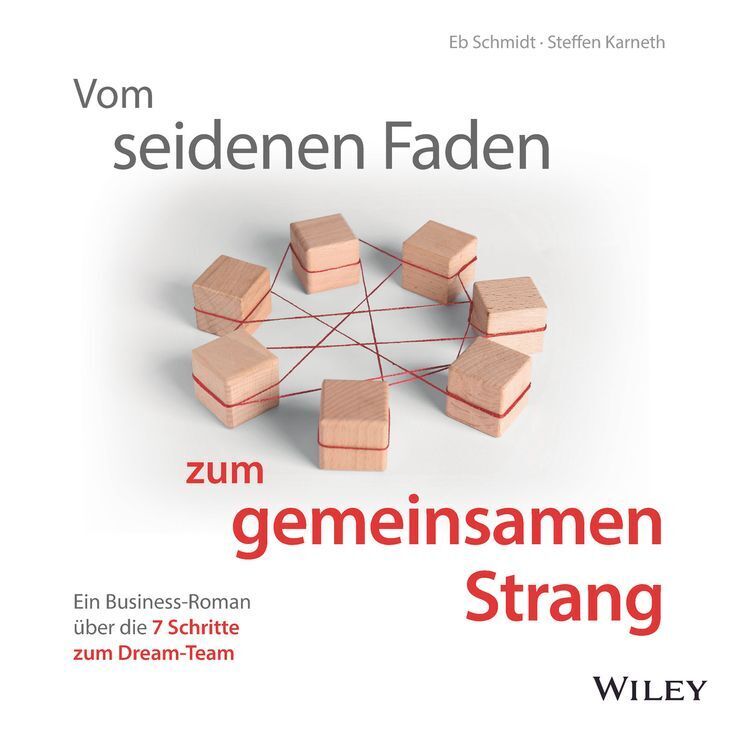 Vom seidenen Faden zum gemeinsamen Strang: Ein Business-Roman über die 7 Schritte zum Dream-Team (Eberhard Schmidt)