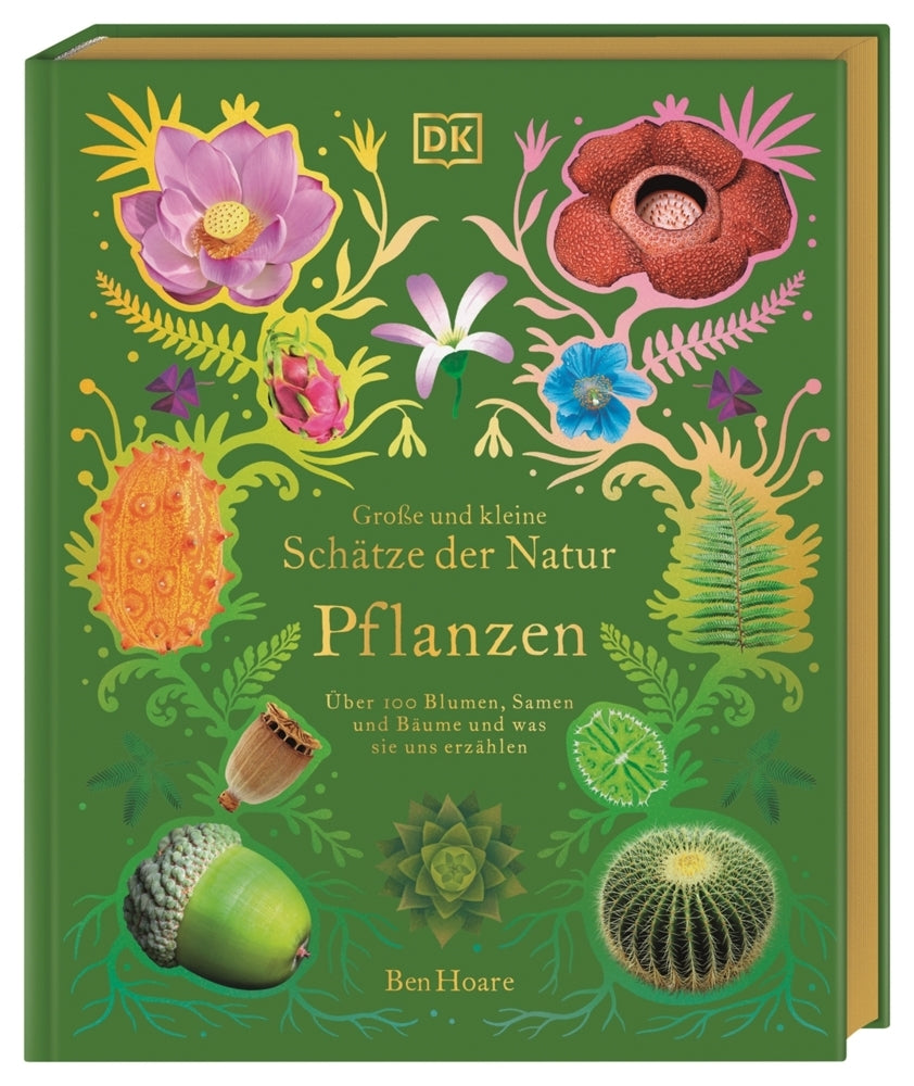 Große und kleine Schätze der Natur. Pflanzen (Ben Hoare)