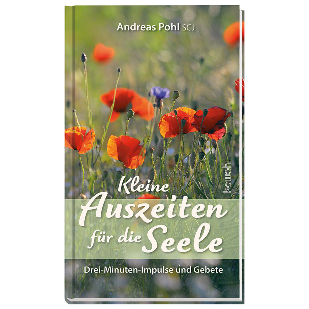 Kleine Auszeiten für die Seele (Andreas Pohl Scj)