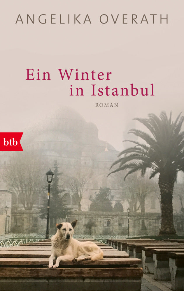 Ein Winter in Istanbul (Angelika Overath)