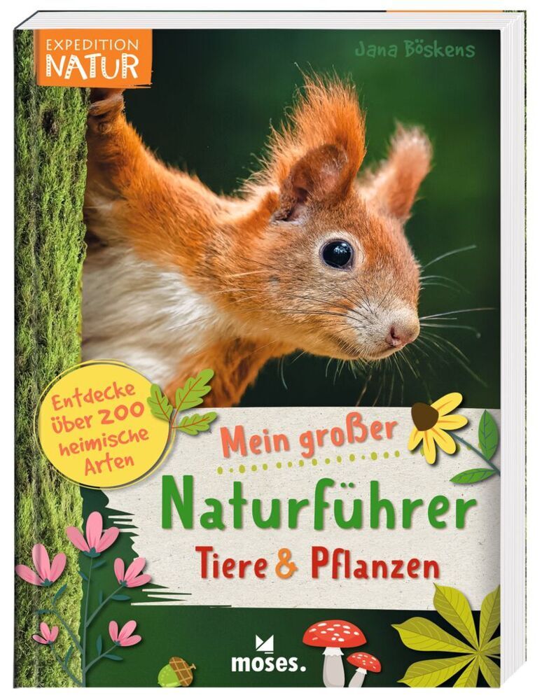Mein großer Naturführer Tiere & Pflanzen (Jana Böskens)