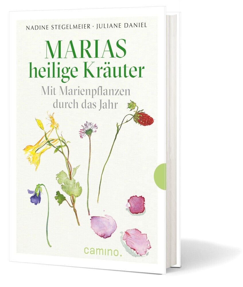 Marias heilige Kräuter (Juliane Daniel)