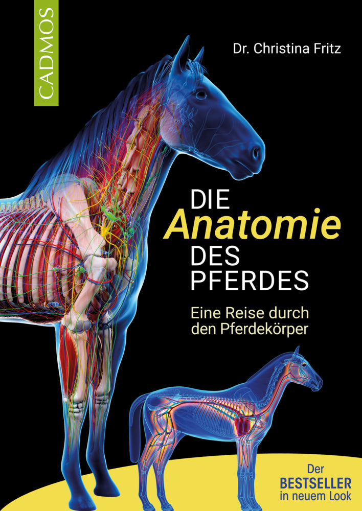 Die Anatomie des Pferdes (Christina Fritz)