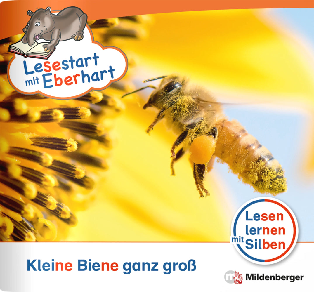 Lesestart mit Eberhart: Kleine Biene ganz groß (Stefanie Drecktrah)