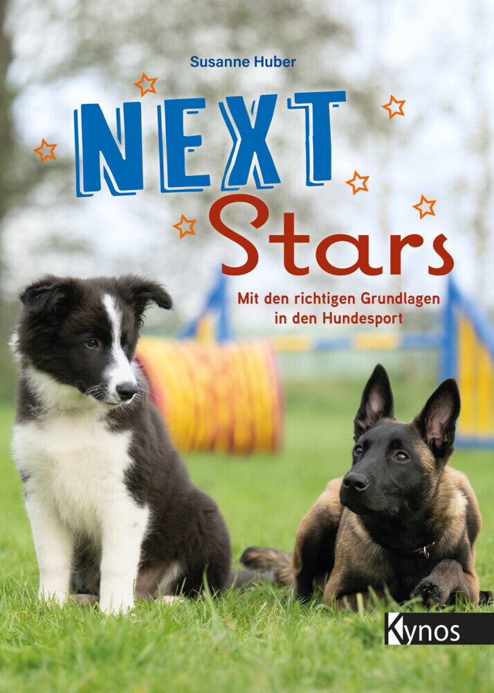 Next Stars (Susanne Huber)