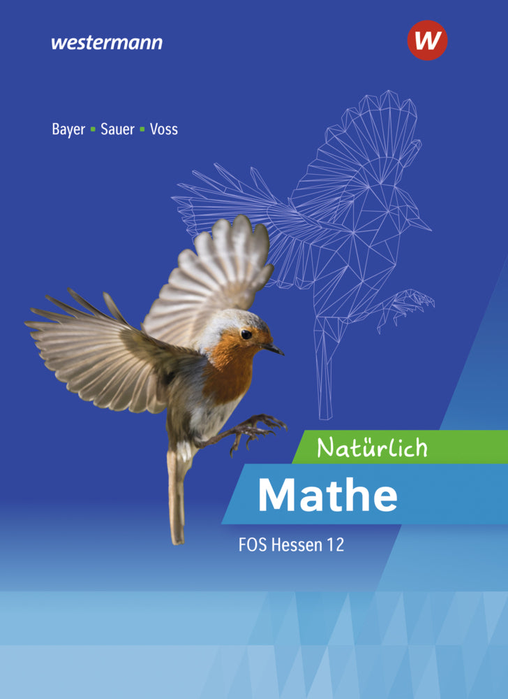 Natürlich Mathe - Mathematik für die Fachoberschulen in Hessen (Michael Sauer)