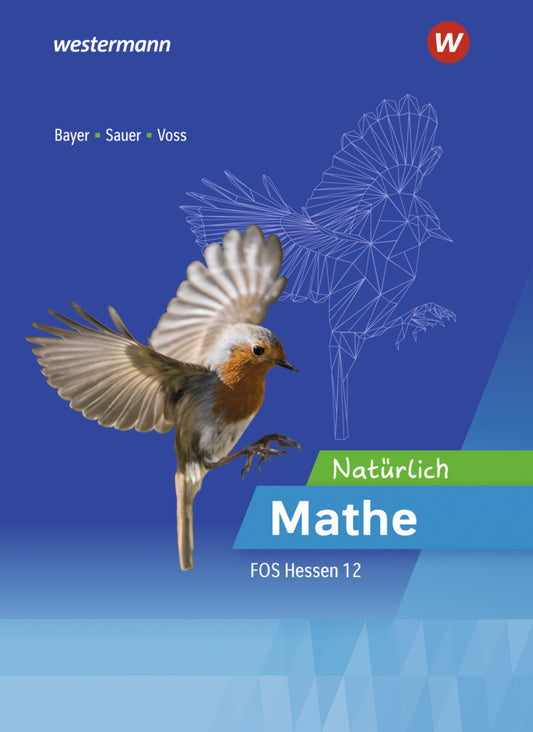 Natürlich Mathe - Mathematik für die Fachoberschulen in Hessen (Michael Sauer)