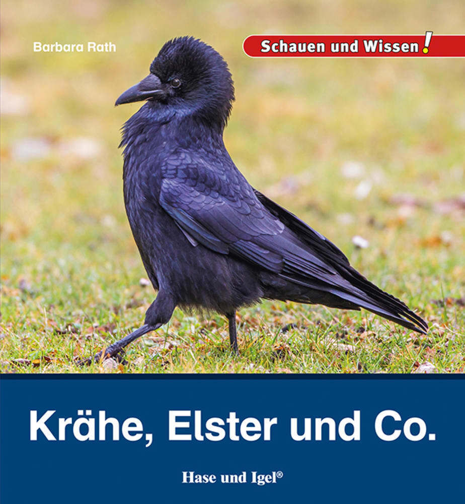 Krähe, Elster und Co. (Barbara Rath)