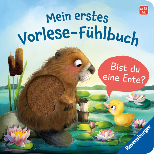 Mein erstes Vorlese-Fühlbuch - Bist du eine Ente? (Kathrin Lena Orso)