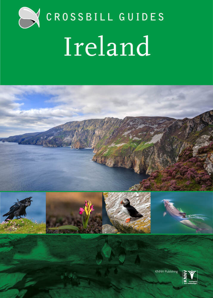 Ireland (Carsten Krieger)