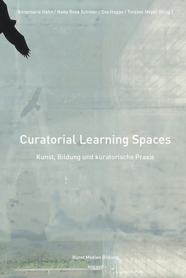 Curatorial Learning Spaces (Annemarie Hahn)