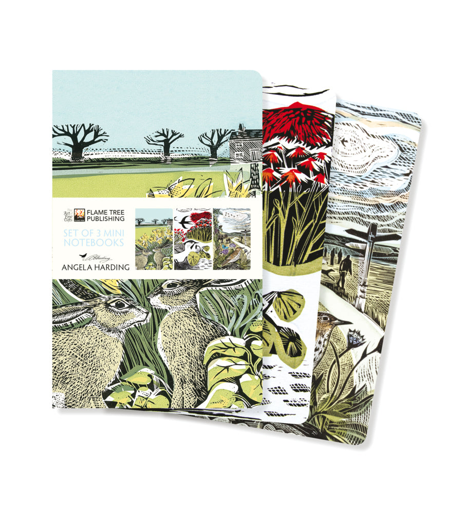 Dreier Set Mini-Notizbücher: Angela Harding (Flame Tree Publishing)