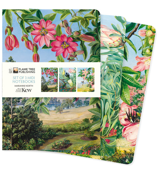 Dreier Set Mittelformat-Notizbücher: Kew Gardens, Marianne North (Flame Tree Publishing)