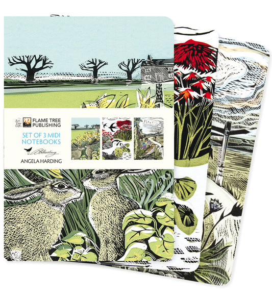 Dreier Set Mittelformat-Notizbücher: Angela Harding, Landschaften (Flame Tree Publishing)
