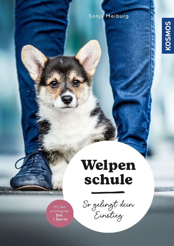 Welpenschule (Sonja Meiburg)