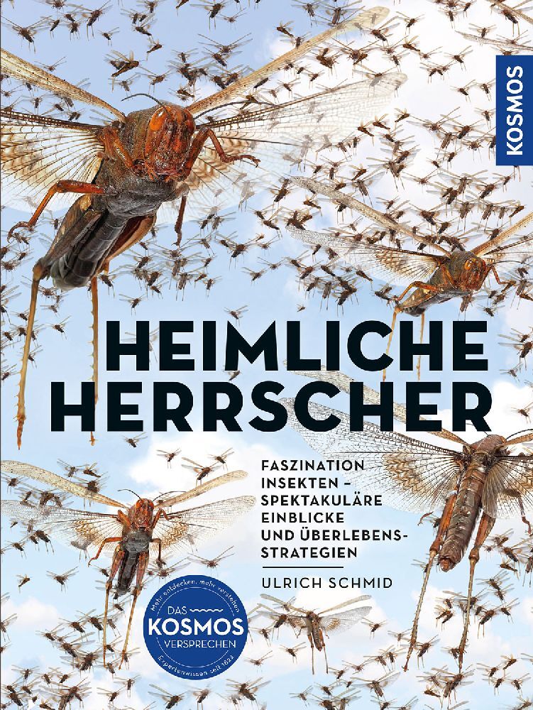 Insekten - Heimliche Herrscher (Ulrich Schmid)